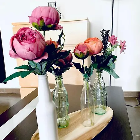 La Bodeguita 1 Сафра