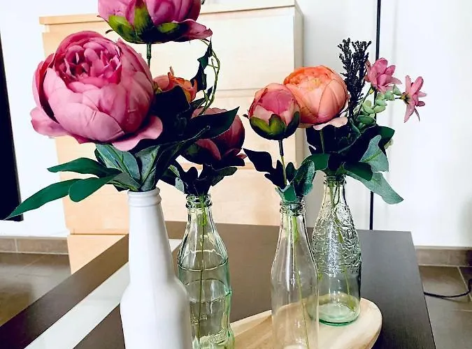 La Bodeguita 1 Zafra